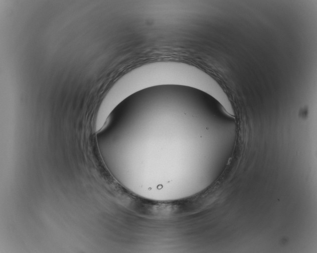 X0000111910225200908171309