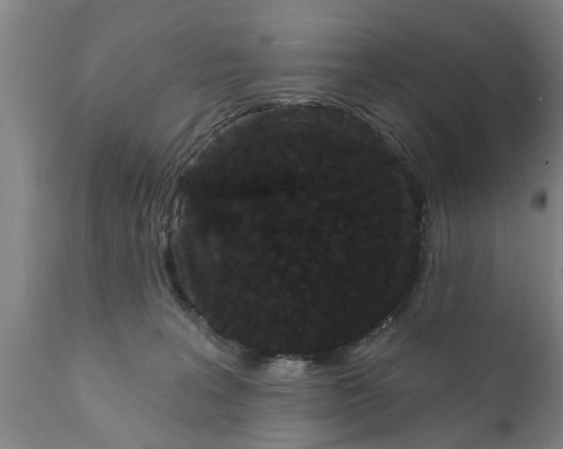 X0000111910227200908171309