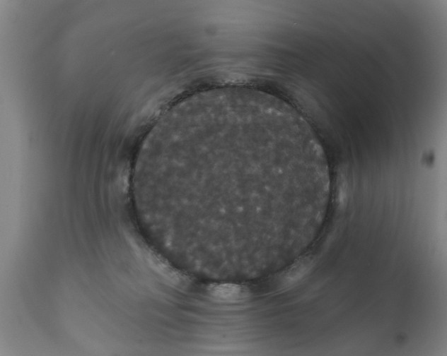 X0000111910230200908171309