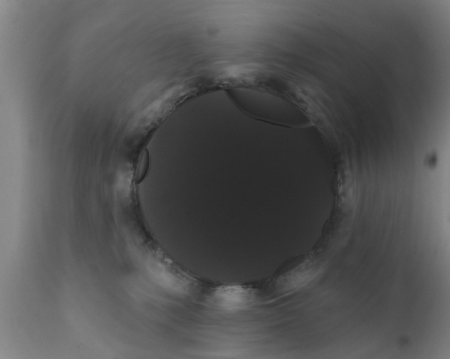 X0000111910231200908171309