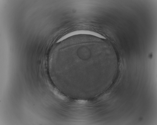 X0000111910233200908171309