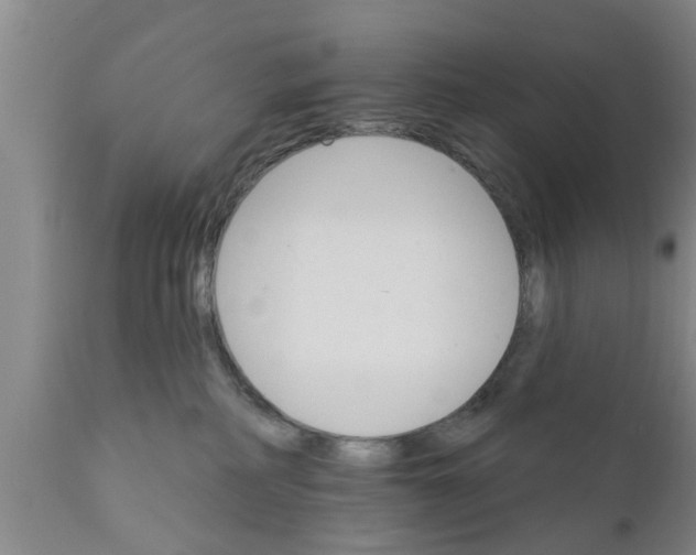 X0000111910234200908171309