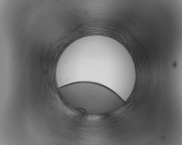 X0000111910235200908171309