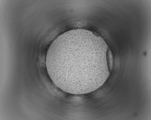 X0000111910236200908171309