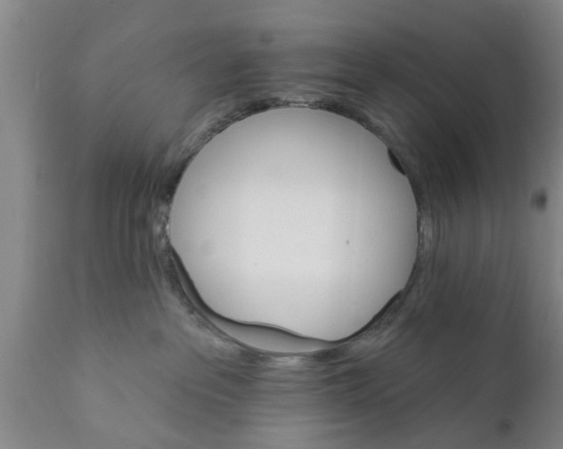 X0000111910237200908171309