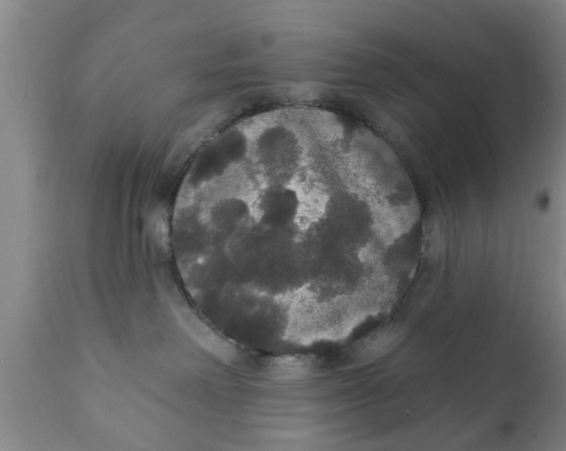 X0000111910238200908171309