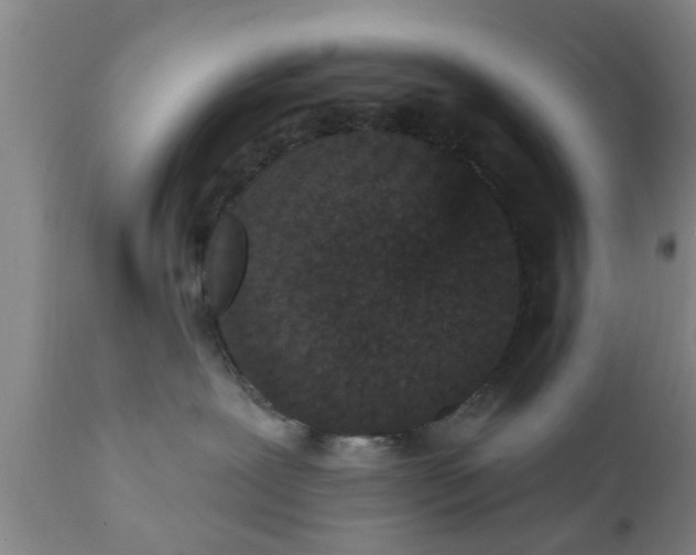 X0000111910239200908171309