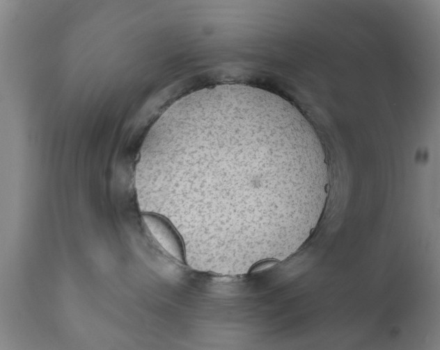 X0000111910240200908171309