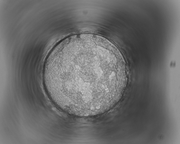 X0000111910241200908171308