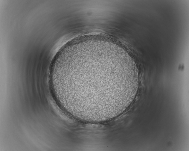 X0000111910242200908171308