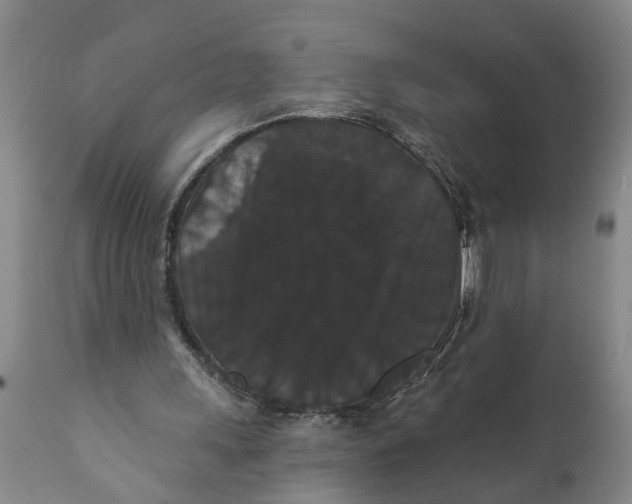 X0000111910243200908171308