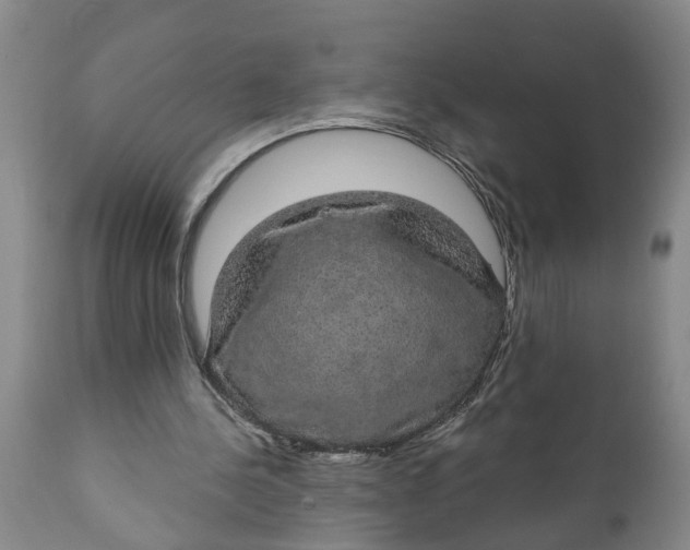 X0000111910244200908171308