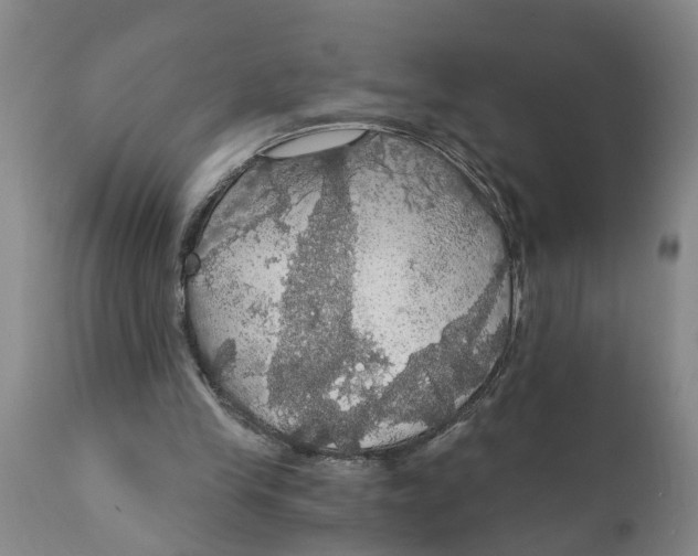 X0000111910245200908171308