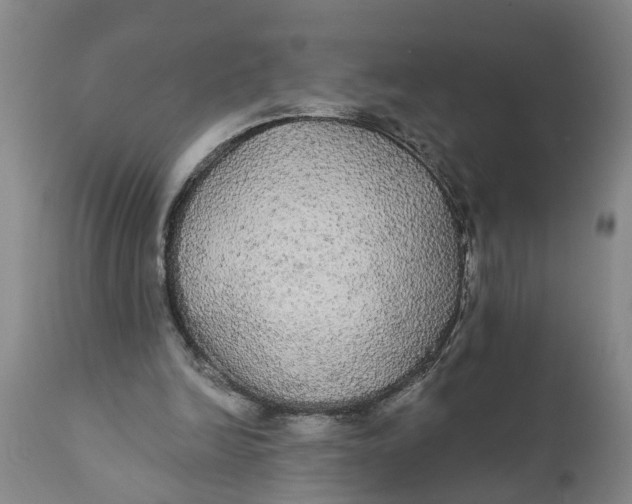 X0000111910246200908171308