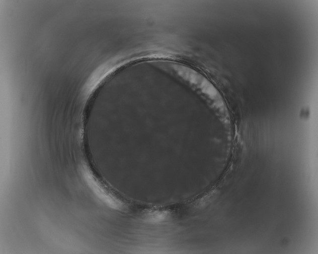 X0000111910247200908171308