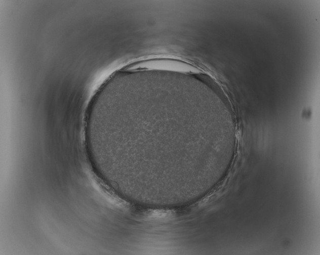X0000111910248200908171308
