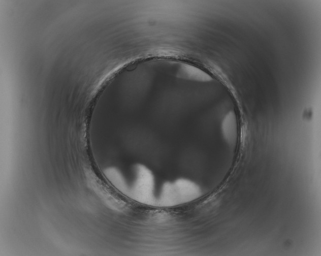 X0000111910249200908171308