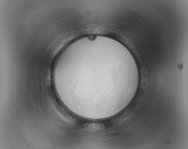 X0000111910251200908171308