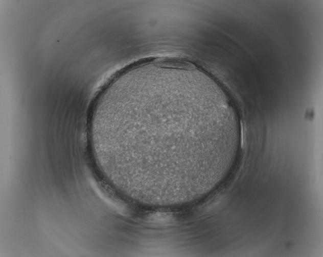 X0000111910252200908171308