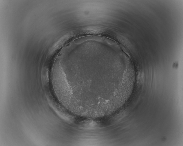 X0000111910254200908171308