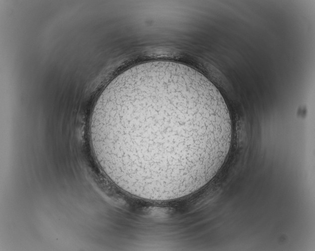 X0000111910255200908171308