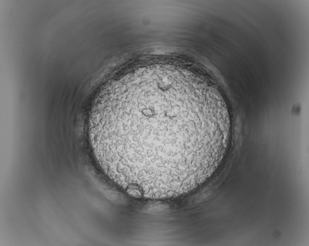 X0000111910257200908171308