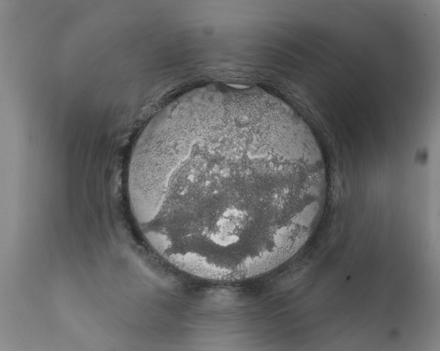 X0000111910259200908171308