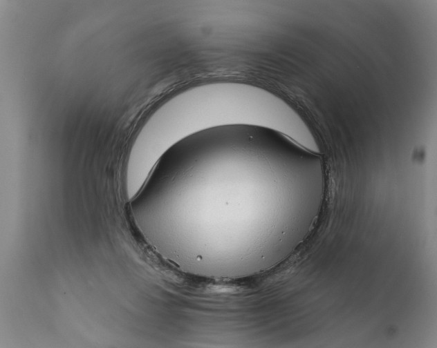 X0000111910260200908171308