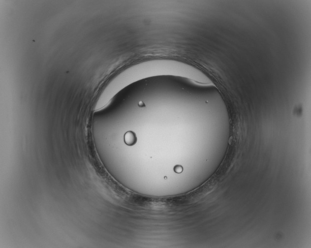 X0000111910264200908171308
