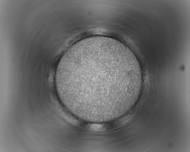 X0000111910265200908171308