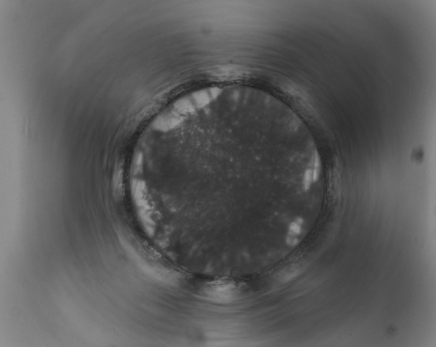 X0000111910267200908171308