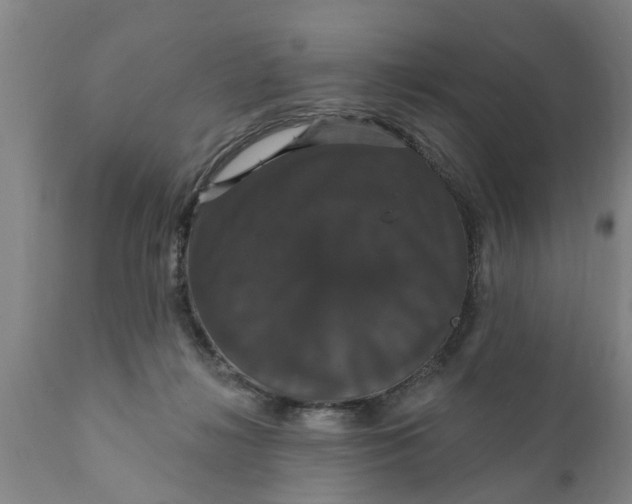X0000111910268200908171308