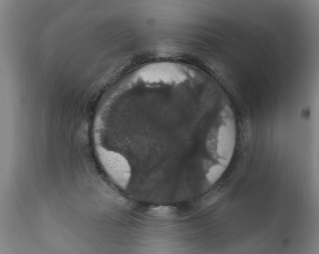 X0000111910269200908171308