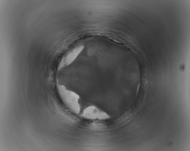 X0000111910270200908171308
