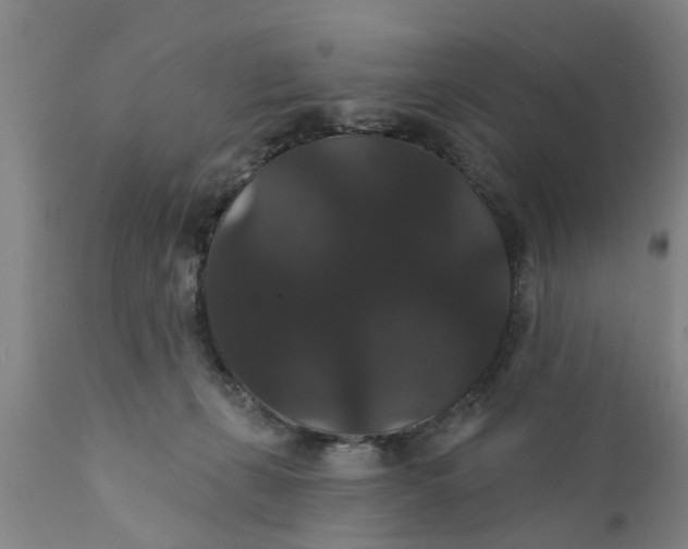 X0000111910271200908171308