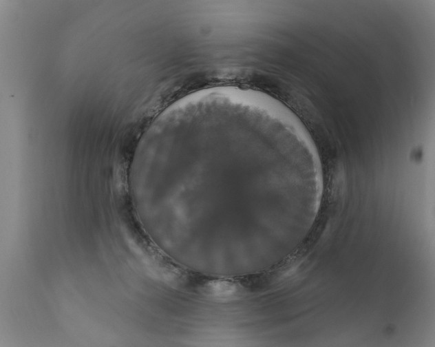 X0000111910272200908171308
