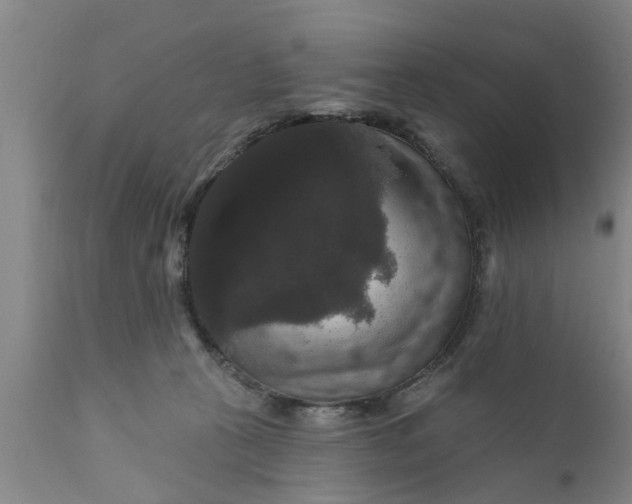 X0000111910273200908171308