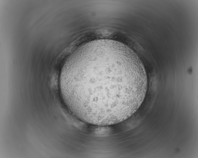 X0000111910274200908171308