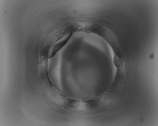 X0000111910276200908171308