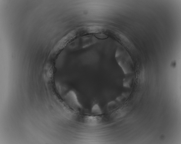 X0000111910277200908171308