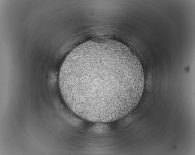 X0000111910278200908171308