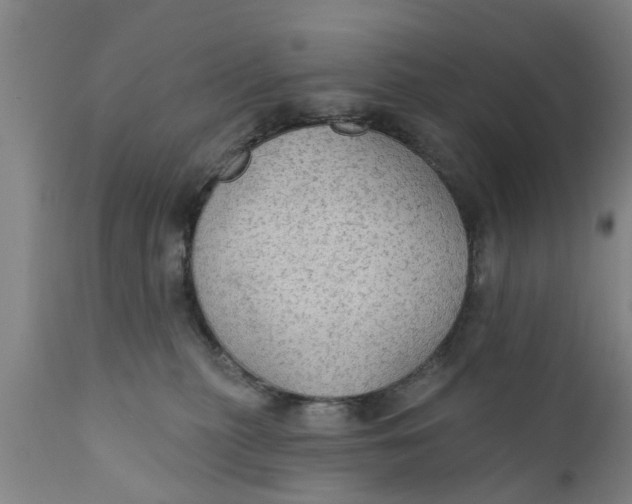 X0000111910279200908171308