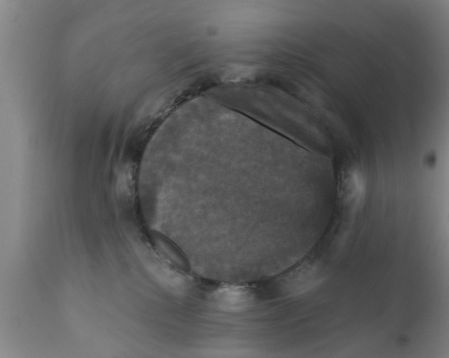 X0000111910280200908171308