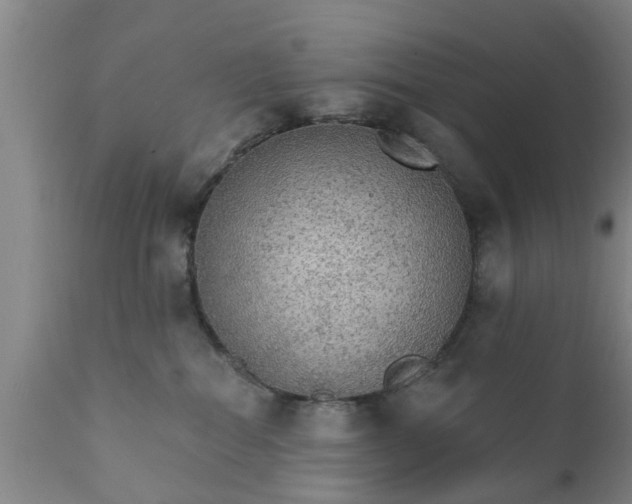 X0000111910282200908171308