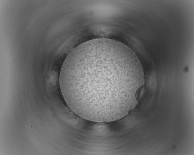 X0000111910283200908171308