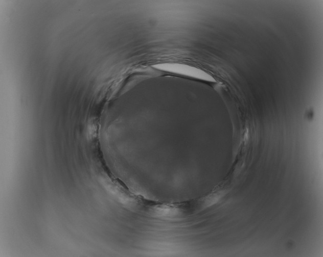 X0000111910284200908171308