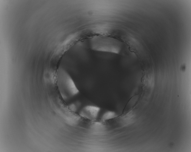 X0000111910285200908171309