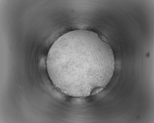 X0000111910286200908171309