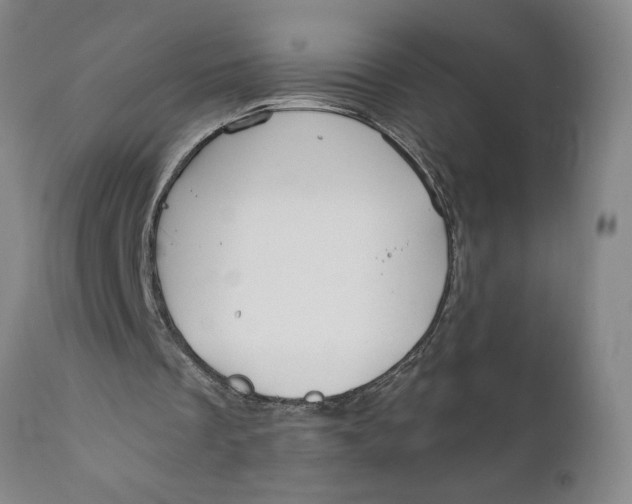 X0000111910289200908171308