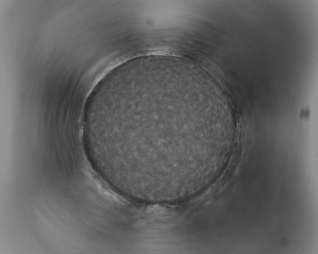 X0000111910290200908171308